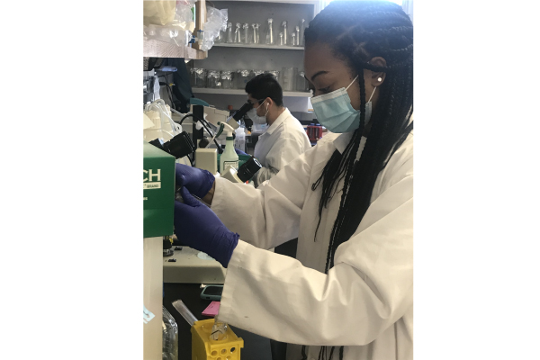 Two members of the herbert lab conducting scientific research.